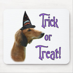 Saluki Trick Musmatta