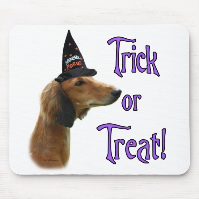 Saluki Trick Musmatta (Framsidan)