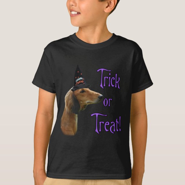 Saluki Trick T Shirt (Framsida)