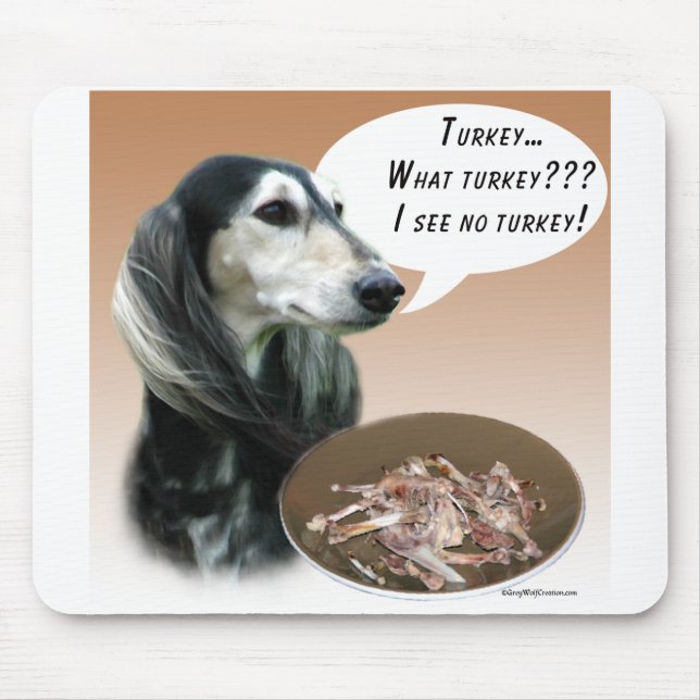 Saluki Turkiet Musmatta (Framsidan)