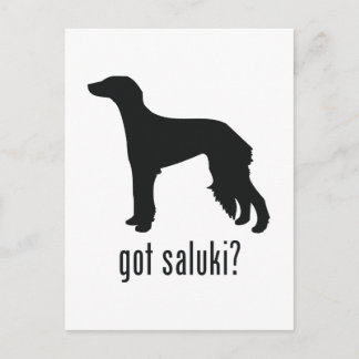 Saluki Vykort