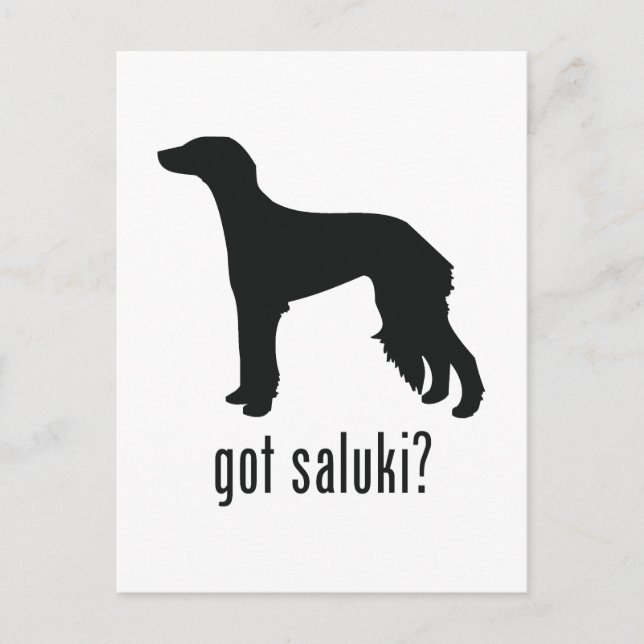 Saluki Vykort (Framsida)