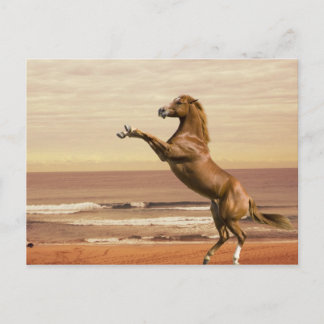 Salute på morgonen vykort