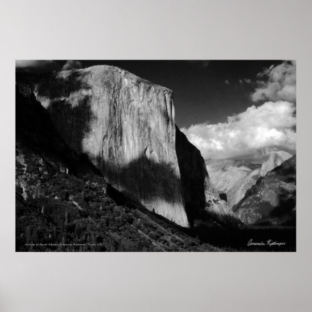 Salute till Ansel Adams Poster (Framsidan)