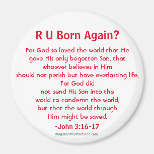 Salvation John 3:16 Magnet