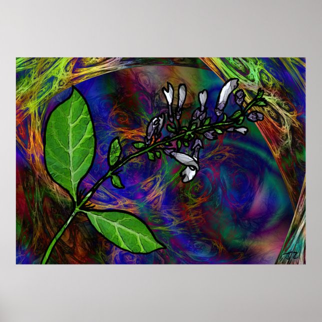 Salvia Divinorum Poster (Framsidan)
