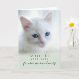 Salvia Grönt För Evigt I Våra Hjärtan Katt Minnes Kort