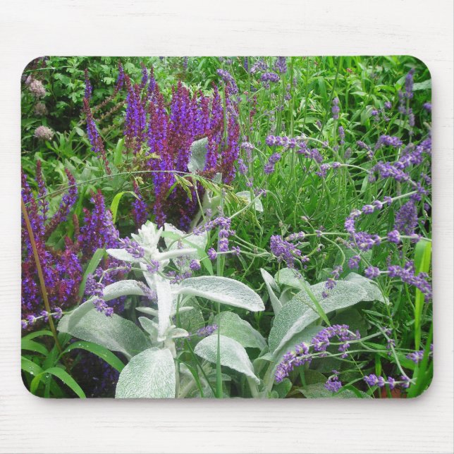 Salvia, Lampöröra och Lavendar Musmatta (Framsidan)