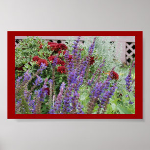 Salvia och morsa poster