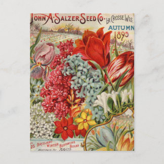 Salzer Flower Seeds Vykort