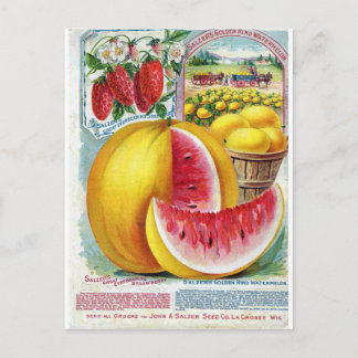 Salzer Watermelons Vykort
