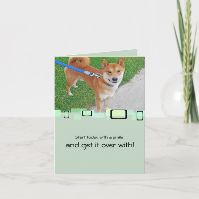Sam den le Shibaen Inu Kort (Framsida)
