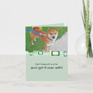 Sam den le Shibaen Inu Kort