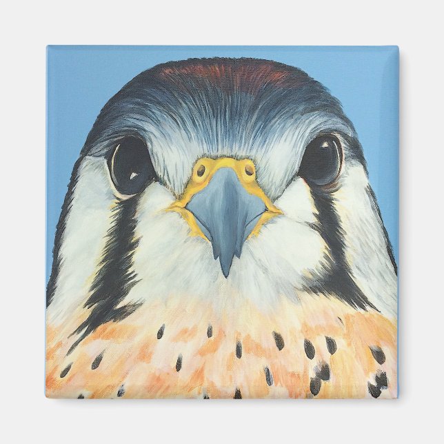 Sam, en amerikansk Kestral Magnet (Framsidan)