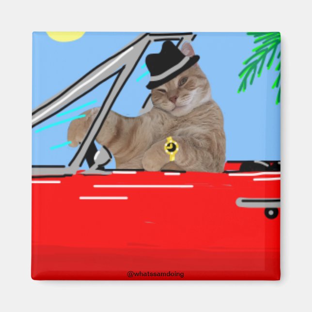 Sam Le Cat Baller Cat Magnet (Framsidan)