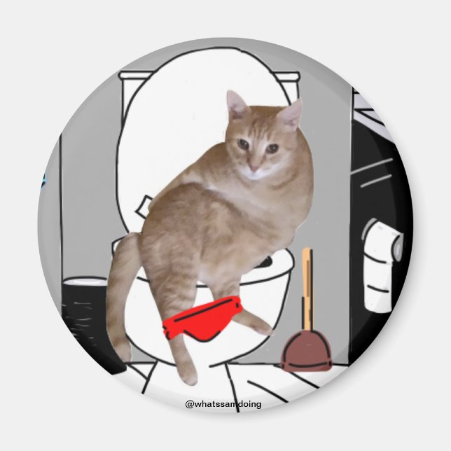 Sam Le Cat Privacy, Magnet (Framsidan)