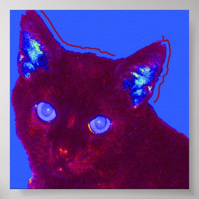 Sam Poster (Framsidan)