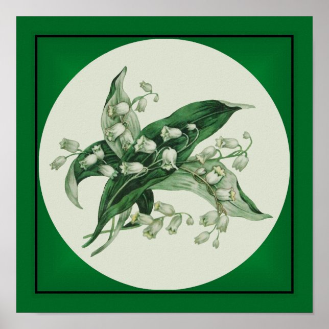 Samantha Lily 1 Poster (Framsidan)