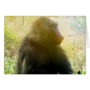 Samburu Baboon Closeup Hälsningskort