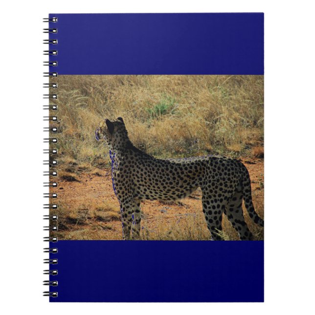 Samburu Cheetah Anteckningsbok Med Spiral (Framsidan)