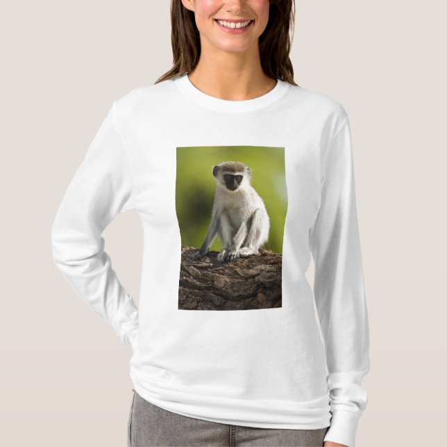 Samburu Game Reserve, Kenya, Vervet Monkey T-shirt (Framsida)