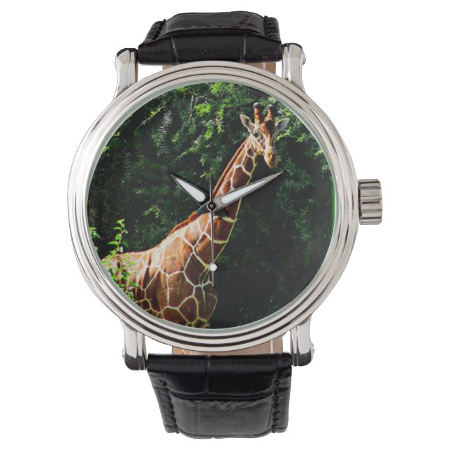 Samburu Giraffe Armbandsur (Framsida)