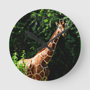 Samburu Giraffe Rund Klocka