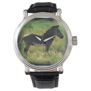Samburu Zebra Armbandsur