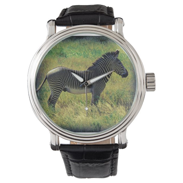 Samburu Zebra Armbandsur (Framsida)