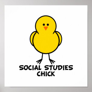 Samhällskunskapchick Poster