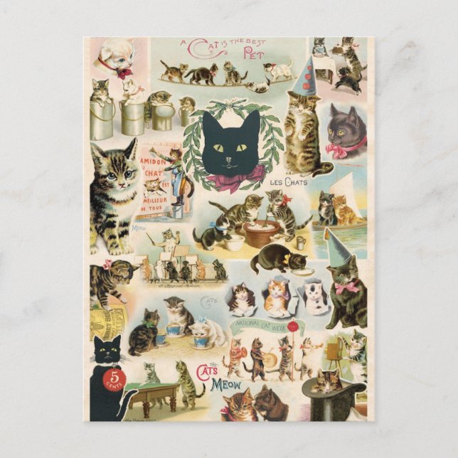 Samla chattor vykort (Framsida)