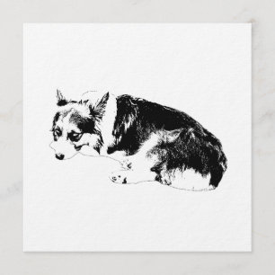 Samla Corgi, Mysig Natt Inbjudningar