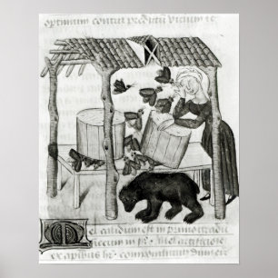 Samla honung poster
