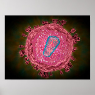 Samla i en klunga av HIV-virus 2 Poster