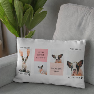 Samla in Hund Foton Hund är mina Valentineser Lumbarkudde