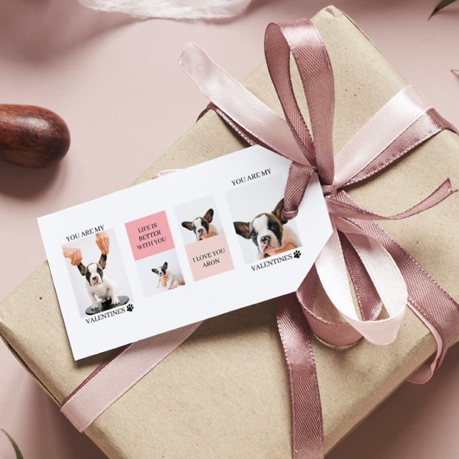 Samla in Hund Foton | Hund är mina Valentineser |  Presentetikett (Skapare uppladdad)