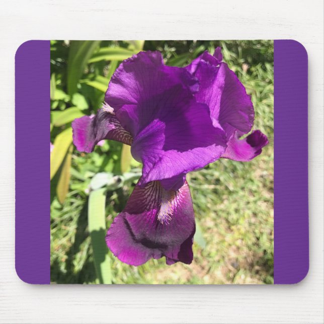 Samla in Lila Iris Mouse Pad Musmatta (Framsidan)