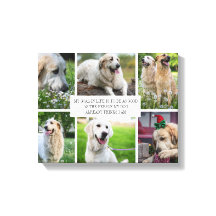 Samla in Pets Photo Modern Hund Quote Canvas