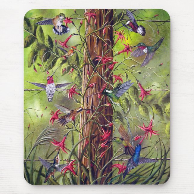 SAMLA PÅ FENCEPOSTEN MUSMATTA (Framsidan)