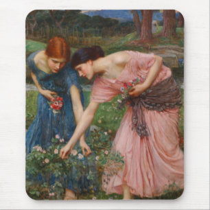 Samla Ye-Rosenknoppar av John W. Waterhouse Musmatta