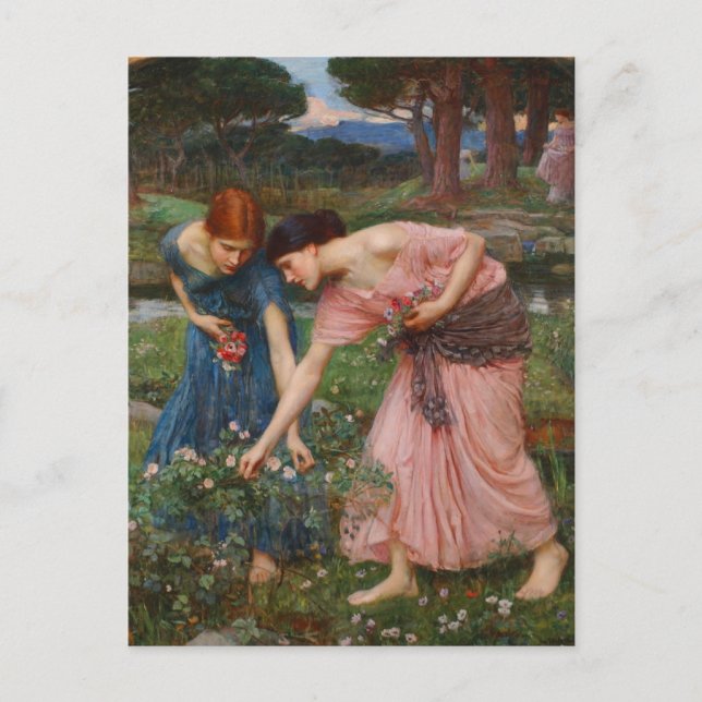 Samla Ye-Rosenknoppar av John W. Waterhouse Vykort (Framsida)