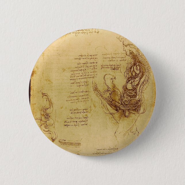 Samlag av en hemisected man och kvinna knapp (Framsida)