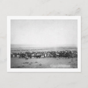 Samlare av nötkreatur i South Dakota Photographic Vykort