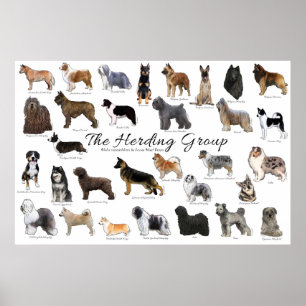 Samlare Group Poster