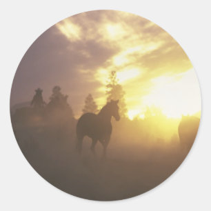 Samlare Horses in Sunset Runt Klistermärke