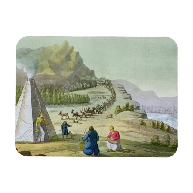 Samlare Reindeer, Lappland, tallrik 47 från Le Cos Magnet (Horisontell)