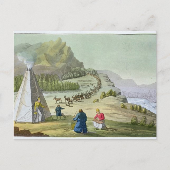 Samlare Reindeer, Lappland, tallrik 47 från Le Cos Vykort (Framsida)