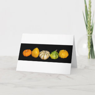 Samling av ’Gorgous Gourds’ Kort