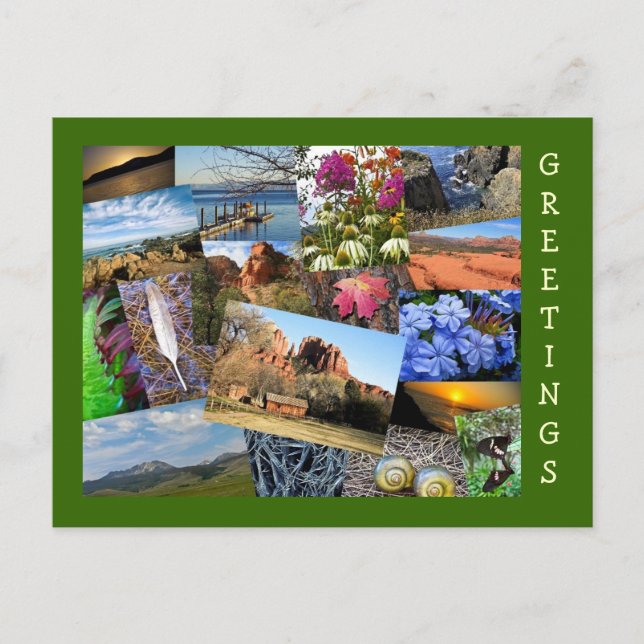 Samling av natur och djurliv vykort (Framsida)