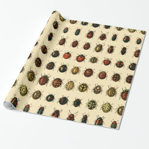 Samling av nyckelpigor presentpapper